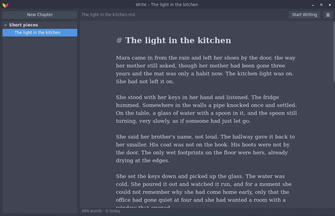 Write open on the chapter The light in the kitchen, 484 words.